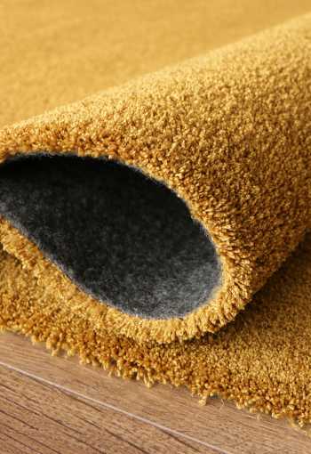 [labrador-71351-800-gold-4.jpg]