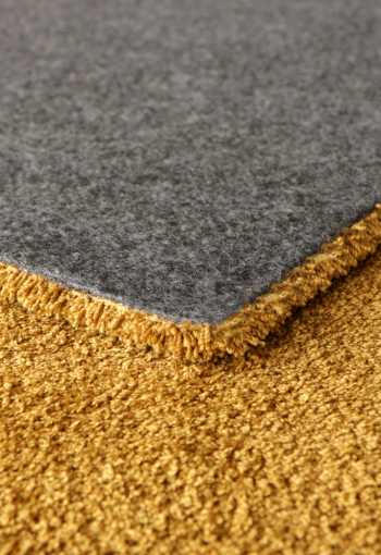 [labrador-71351-800-gold-5.jpg]