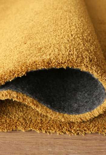 [labrador-71351-800-gold-7.jpg]