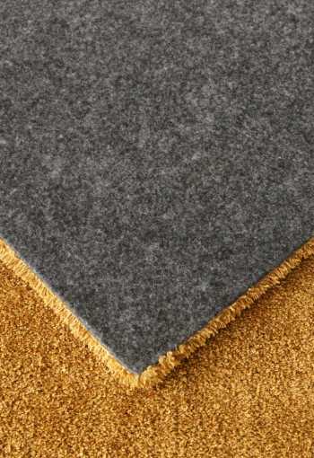 [labrador-71351-800-gold-8.jpg]