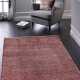 Kusový koberec Palazzo 6980A Red/Red
