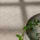 Kusový koberec Ted Baker Greenwich 106361 Natural White