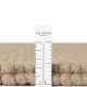 Kruhový kusový koberec Ted Baker Richmond 106367 Beige