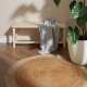 Kruhový kusový koberec Hanse Home Jutta 106226 Gold