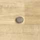 PVC Puretex LIME OAK 263M