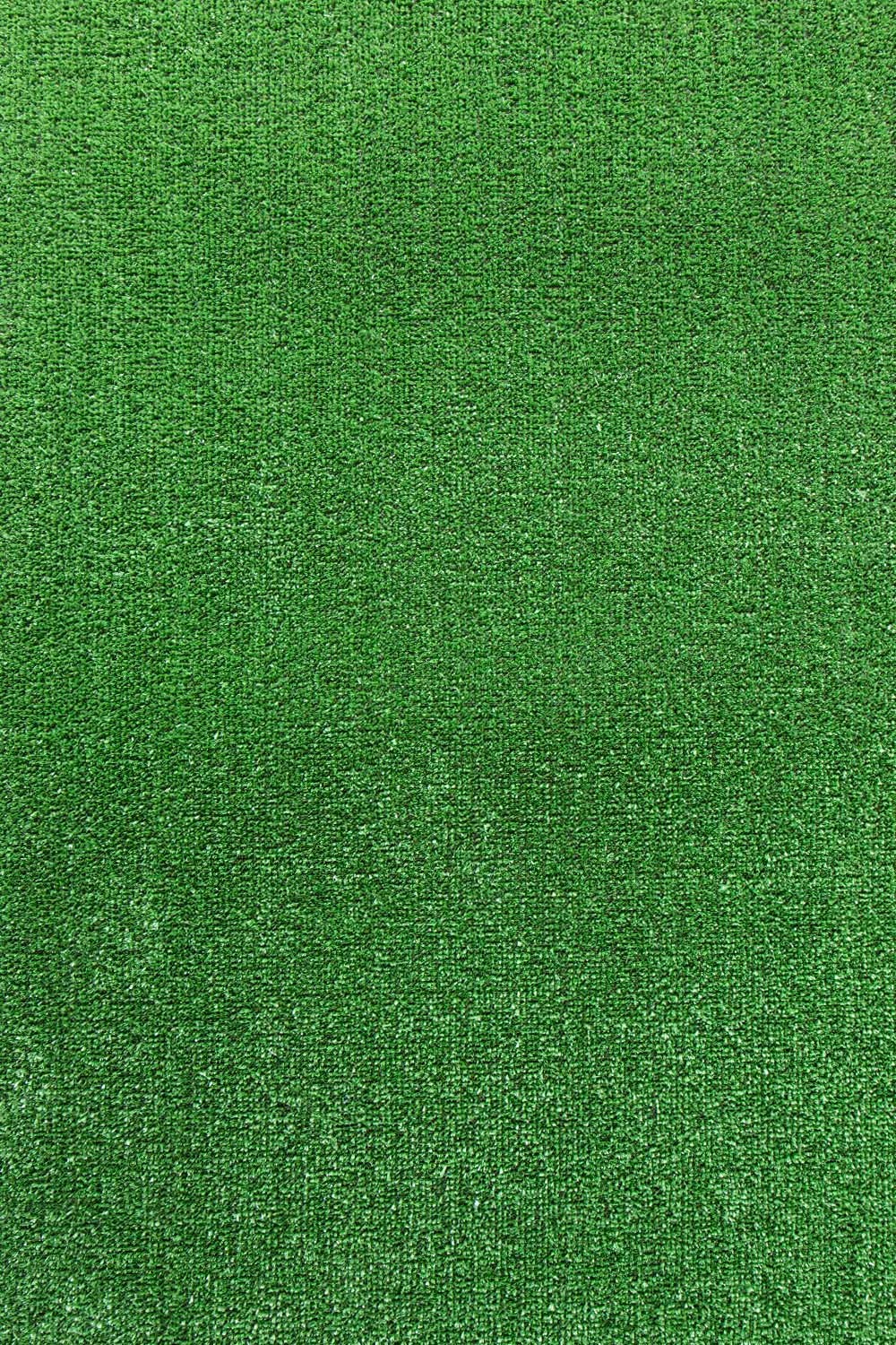 Travní koberec ASCOT 41
