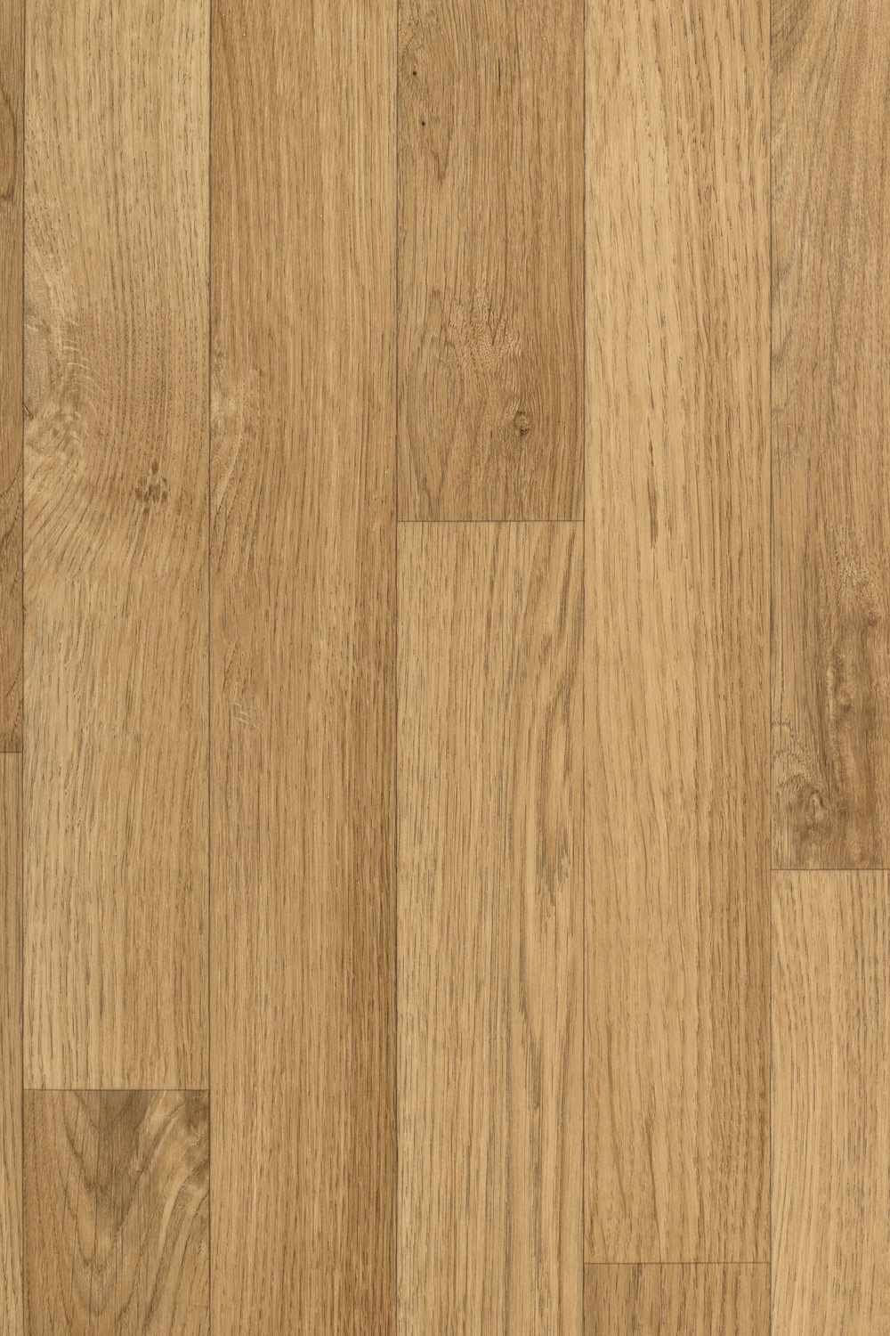 PVC ICONIK 240 Classical Oak Natural | E-SHOP - Koberce, PVC, kobercová ...