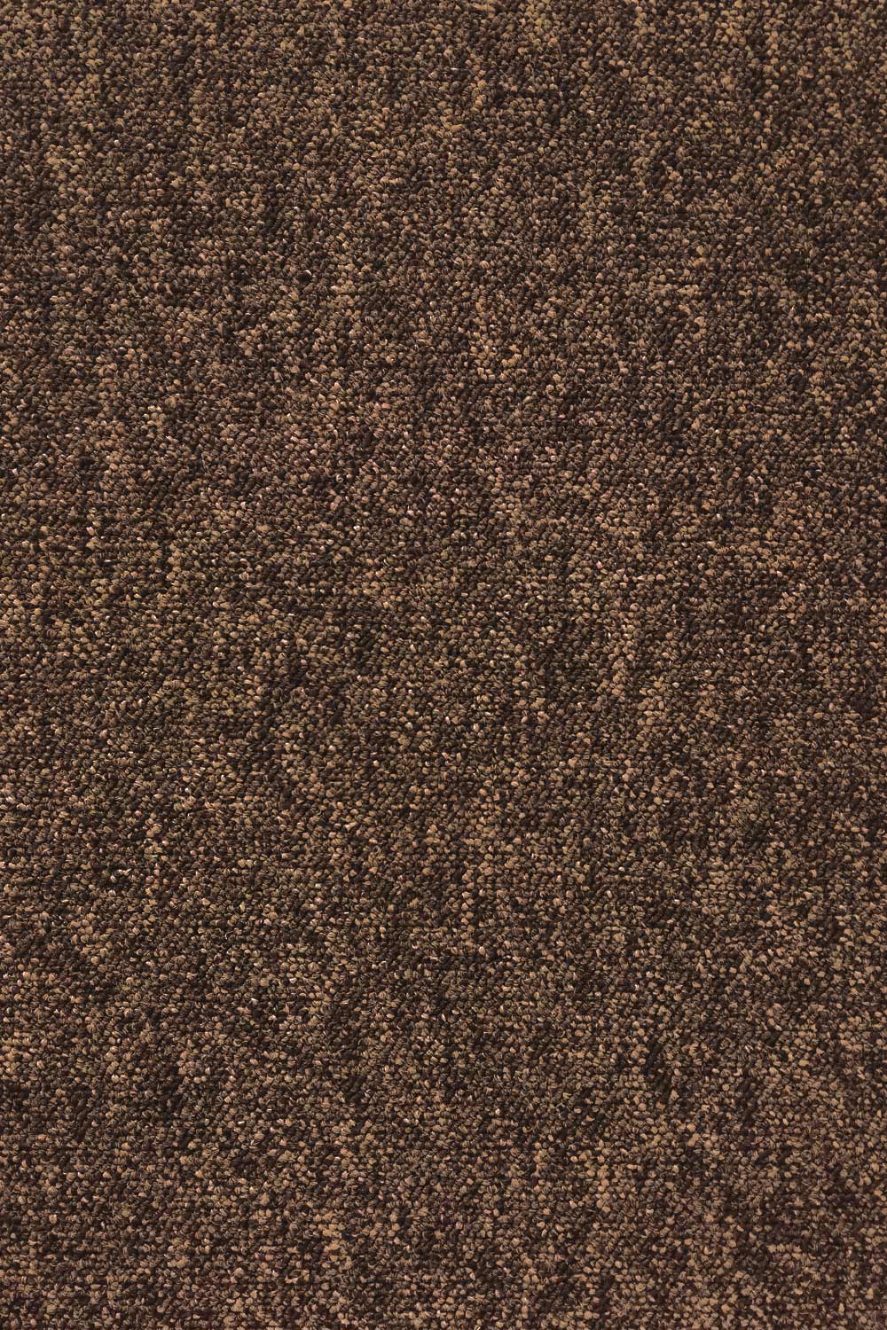 Metrážový koberec EXTREME 293