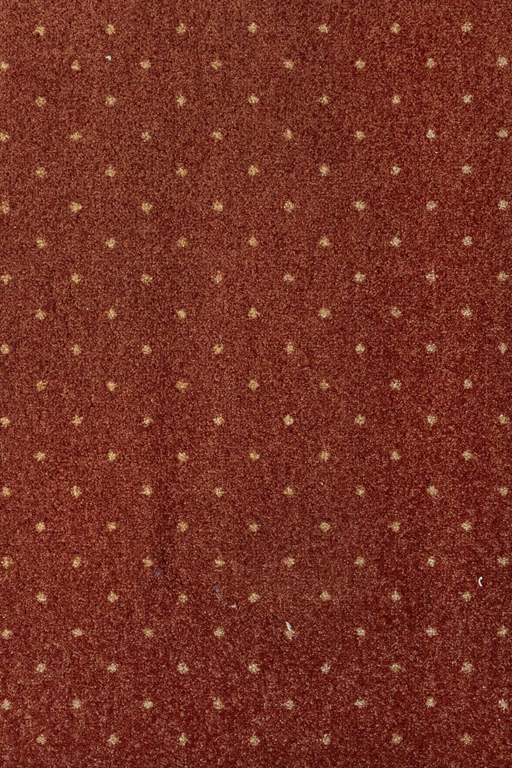 Metrážový koberec AKZENTO NEW 65 400 cm